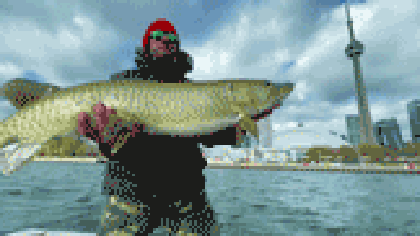 The Rarest Fish in Toronto